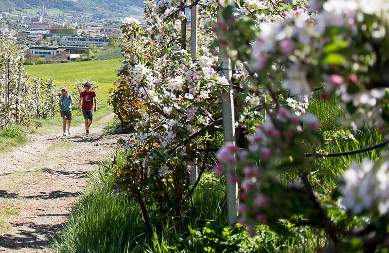 Vacanze escursionistiche