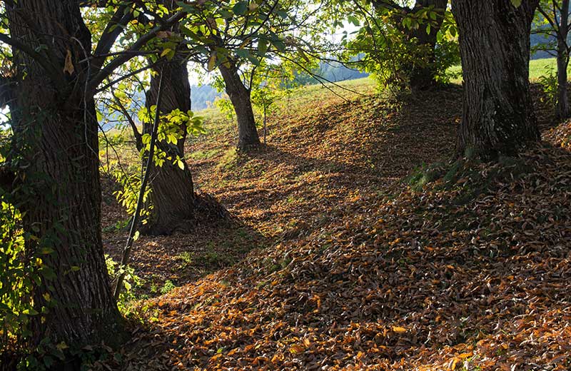 Vacanze escursionistiche