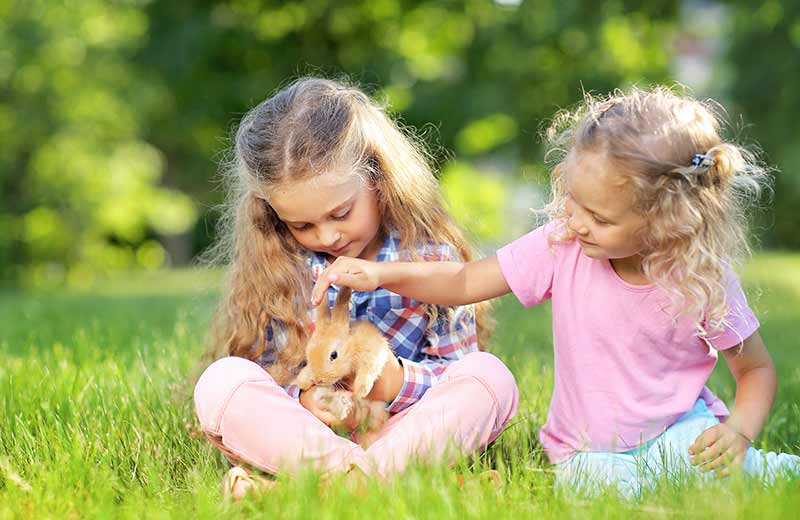 Vacanze in agriturismo