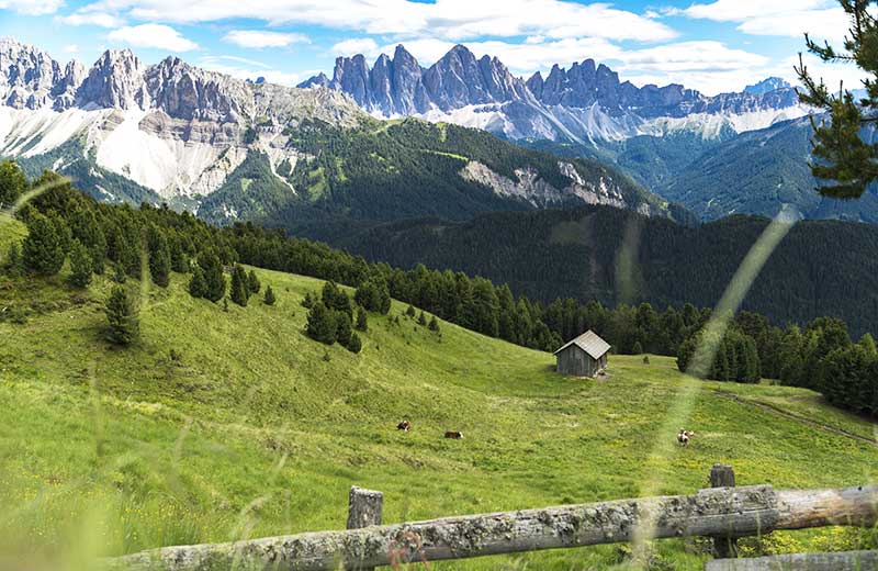 Sentiero panoramico Dolomiti