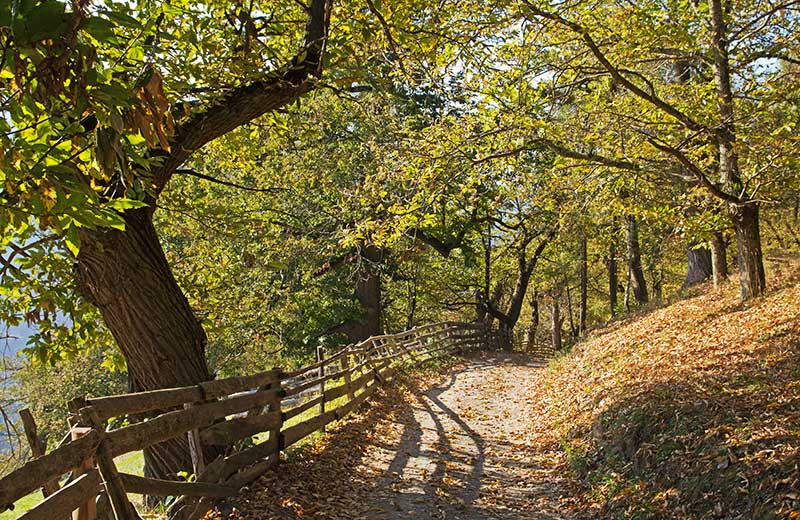 Sentiero del Castagno: Bressanone - Chiusa