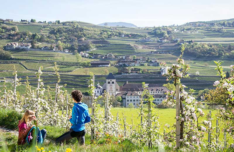 Sentiero dei vigneti